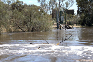 Webster: Mallee’s confidence in water rules is critical