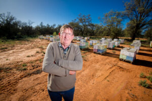 Almond crisis: Growers desperate for a Plan Bee