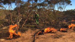 Burns under way in some areas of Mallee