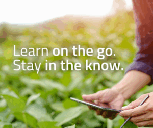 Mobiles guide to pest reporting