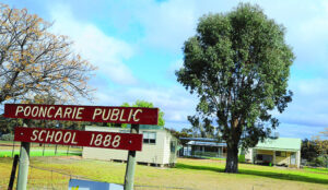 Learning the hard way