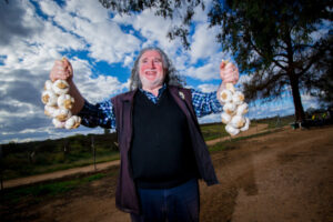 Sunraysia garlic may beat back COVID, flu, top scientists say