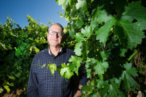 ACCC report ‘puts the industry on notice’ over wine grape prices