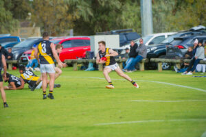 Tigers prowling along right path