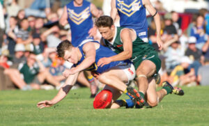 SFNL floats nine-round season option