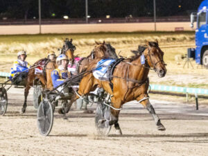 Major Meister up for promotion