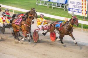 Hot at the trots again