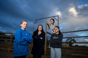 Theft leaves pony club ‘devastated’