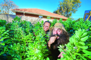 Hubs embrace food culture