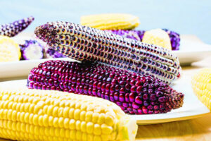 Purple corn set for taste test