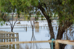 Alcheringa pony club optimistic despite hurdles