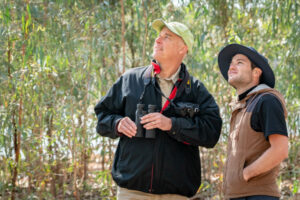 Bird’s eye view of our wetlands