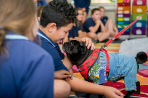 Lonely dogs need new homes