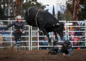 Pictures: Merbein Community Rodeo