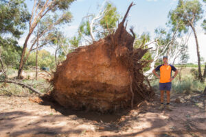 Nangiloc storm and hail takes heavy damage toll