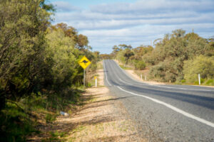 Mildura man dead after SA crash