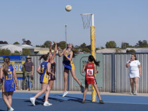 Swallows see off challenge