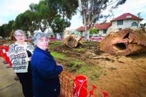 Stumped: Anger as Deakin Ave works also damage limestone monument