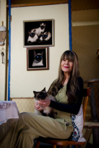 Cat-rescue hero reluctantly closing shelter