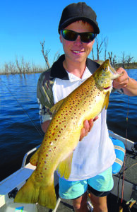 Cod Tales: Get ready to scout for trout