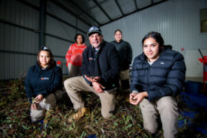 First People rangers plant seeds for culture and biodiversity
