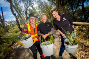 Greening effort grows at Mildura’s Apex Park