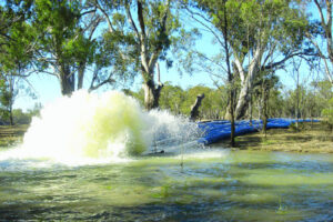 Wetlands get a long drink