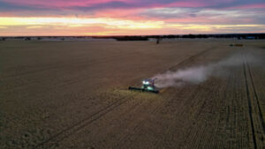 Accolades for fresh look at Mallee’s unique beauty