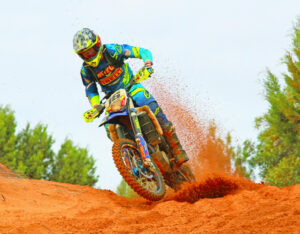 Desert comes alive