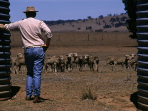 Supporting those who support farmers in tough times