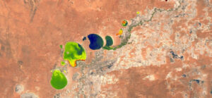Images show algae growth
