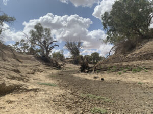 Lower Darling landholder fears for Menindee flows