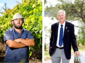 Mildura Council backs fruit fly control committee: ‘We need it’