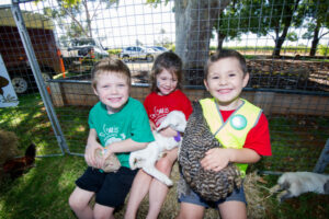 The A to Z of activities