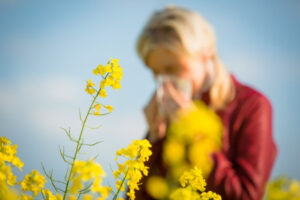 Pollen warning for asthma, hay fever sufferers