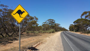 Don’t hit rural roads with budget cuts, says VFF