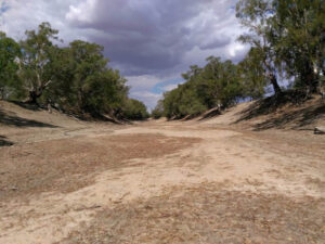 Water theft: Investigator warns against weakening compliance