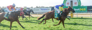 Rawiller king of Cup carnival