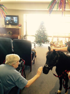 Mildura academy offers help from horses
