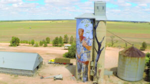 ‘Rone’ to paint silo