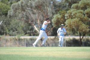 Freeman makes wickets tumble