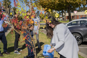 Mildura CBD gets a facelift