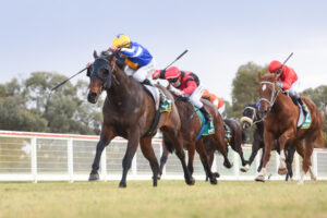 Fine treble for Ballarat trainer