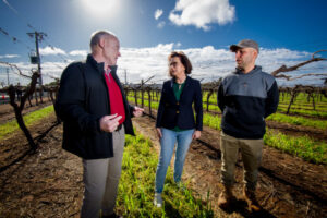 Let’s get Mildura quarantine going, say table-grape growers