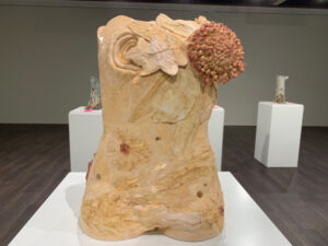 Broken Hill pottery shaped for variety