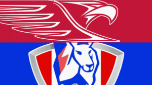 Robinvale Euston advance in first SFNL semi-final