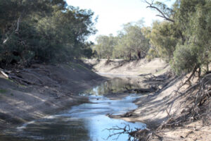 Senate vote puts basin plan ‘in peril’