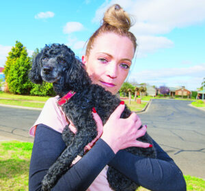 Anguish for missing dog