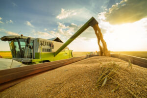 Viterra in hunt for grain workers