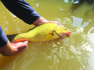 Man nets significant fine for fishing traps